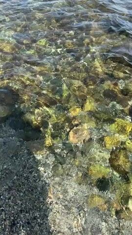A close-up, high-angle shot shows clear water flowing over rocks on the seabed. The rocks are varied in color, with shades of green, yellow, brown, and gray. The water's surface is slightly rippled, causing the light to refract and create shifting patterns on the rocks below. The overall scene is natural and serene, suggesting a shallow body of water, possibly a beach or a riverbed. The camera appears to be held by someone standing or moving near the water's edge.