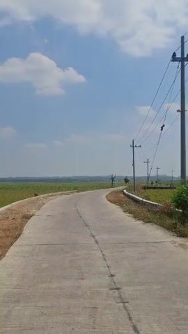 A paved road curves gently through a rural landscape under a bright blue sky with scattered white clouds. The road is bordered by green fields on either side. Telephone poles with electrical wires run along the right side of the road, stretching into the distance. The scene appears to be captured from a moving vehicle, possibly a motorcycle, as indicated by the blurred dark area at the bottom of the frame. There are no people or animals visible in the video. The overall impression is one of a peaceful, sunny day in the countryside.