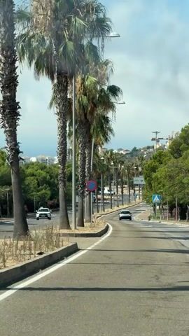 The video shows a car driving down a road lined with palm trees. There are other cars on the road, and pedestrian crossing signs. The sky is cloudy.