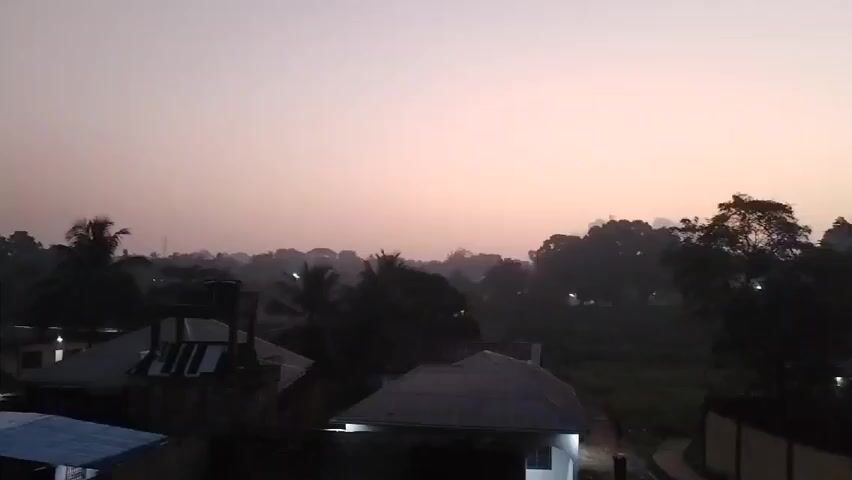 The video shows a neighborhood scene at dusk or dawn. A group of buildings with roofs of various materials is visible in the foreground. Beyond the buildings are trees of different varieties, including palm trees. There is a misty or hazy atmosphere, and the sky is a blend of light gray and faint pink, indicating sunrise or sunset. There are a few lights visible among the trees.