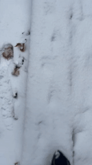 Person walks through snow-covered Paris streets in winter conditions