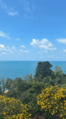 Morning coastal scenery captured on Ko Samui, Thailand
