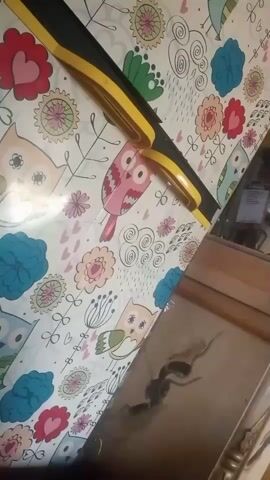 A yellow and black cleaning squeegee is positioned diagonally across a table covered with a white tablecloth featuring a pattern of cartoon owls and floral designs. The tablecloth has pink, blue, and yellow flowers, as well as pink hearts. The right side of the image shows a wooden surface, possibly a desk or cabinet, with a dark, abstract drawing of what appears to be an ant or insect. The lighting suggests it is daytime, and the overall scene appears to be indoors, possibly in a home or office setting.