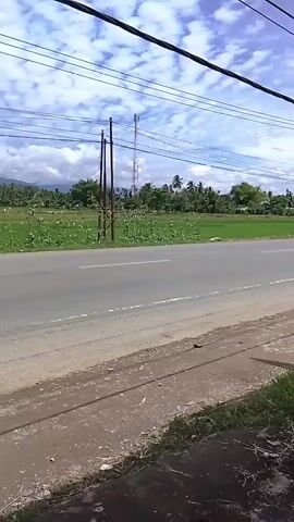 A wide shot captures a rural landscape with a paved road in the foreground. The road is bordered by a dirt shoulder and then a vibrant green field, likely rice paddies, stretching into the distance. In the middle ground, several utility poles stand tall, supporting a network of overhead wires that crisscross the sky. Beyond the field, a row of trees, including some palm trees, forms a natural border, leading to rolling hills and mountains in the background. The sky is a bright blue, dotted with fluffy white clouds, suggesting fair weather. The overall scene is tranquil and depicts a typical rural environment, possibly in a tropical or subtropical region.