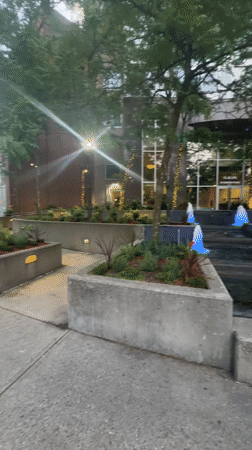 Vancouver witnesses capture colorful sunrise scenes across city streets