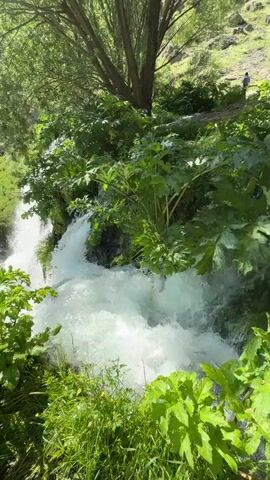 A video shows a waterfall cascading down a rocky hillside covered in lush green vegetation. The water is white and frothy as it tumbles over the rocks. Sunlight streams through the trees, dappling the scene with light and shadow. The camera pans slowly across the landscape, revealing the beauty of the natural surroundings. The video ends with a wide shot of the valley, with the waterfall in the distance.