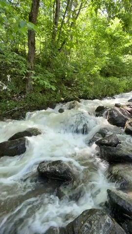 The scene shows a fast-flowing stream, cascading over rocks in a forest setting. The water is white and foamy as it rushes downward. The rocks are dark and mostly submerged, though some protrude from the water. Lush green trees and vegetation line both sides of the stream. The lighting is bright, suggesting it is daytime and the sun is filtering through the trees.