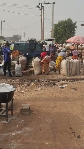 The video depicts a busy outdoor market scene in Kaduna South, Nigeria. Numerous people, predominantly adults, are engaged in commercial activities on a dirt road. Large sacks, likely filled with grains or other produce, are scattered on the ground and piled high on vehicles, including a blue pickup truck and a silver car.

Vendors display their goods on makeshift wooden stalls and directly on the ground. One prominent display features a large mound of small, white, irregular-shaped items, possibly peeled cassava or similar produce, on a sack. Nearby, a person sits on a wheelbarrow next to this display. Other sacks, some white with blue labels, and plastic buckets are visible throughout the scene. An umbrella, pink or red, provides shade to some vendors.

Power lines and poles line the side of the road, and a single tree is visible in the background. The bright, clear lighting suggests it is daytime. The ground is sandy or dusty. The overall atmosphere is one of bustling commerce, with people moving goods, interacting, and waiting. Visible text includes "SFAMIL" on a black object in the foreground.