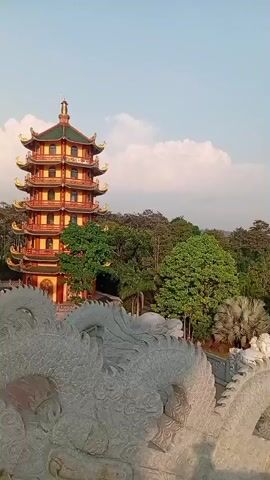 The camera pans slowly from left to right, showcasing a verdant scene of a park or garden with multiple East Asian style buildings visible. The foreground features a portion of a stone dragon statue, perhaps part of a railing. Just beyond it is a landscaped garden area with carefully manicured lawns, trees, and walkways. In the distance are more buildings with golden roofs, partially obscured by trees. The sky is clear and blue.