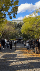 Buenos Aires outdoor market bustling with shoppers on cobblestone path