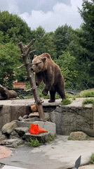 Afternoon tour through Kaliningrad Zoo's animals and enclosures