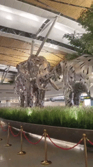Silver elephant statues observed at Thailand airport terminal