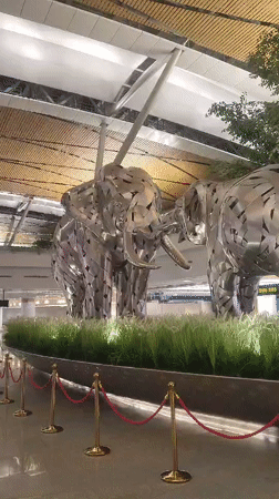 Silver elephant statues observed at Thailand airport terminal