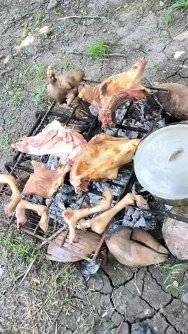 The video shows a close-up, overhead view of various pieces of meat roasting on a charcoal grill. The meat appears to be from a pig, including trotters and larger cuts of meat, some of which are browned and charred. The grill is set on the ground, surrounded by dry, cracked earth and some sparse green grass. A large metal pot with a lid is visible to the right of the grill, partially obscured by the meat. The overall scene depicts an outdoor cooking event, likely a barbecue or a traditional roast.