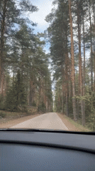 Morning drive captured on tree-lined road in Chaikovsky, Russia