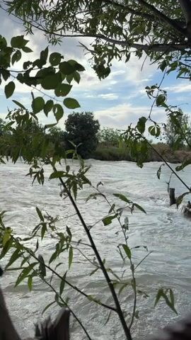A view of a river with turbulent white water, framed by green foliage in the foreground. The sky above is blue with scattered clouds. Trees and vegetation are visible on the far bank of the river. The camera is still.