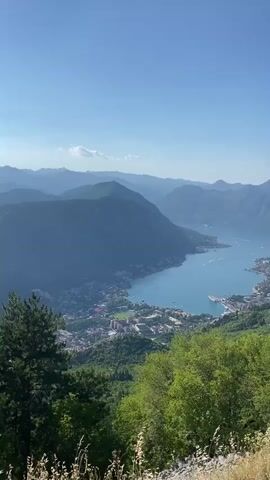This video provides a high-angle panoramic view of a large bay surrounded by steep, forested mountains under a clear blue sky. The bay is dotted with numerous small white boats and a few larger vessels, including what appears to be a sailing ship docked near a town. The town itself is nestled along the coastline, with buildings in various shades of white and red, and a sports field with green turf visible. The foreground of the video features lush green trees and some dry grass in the bottom right corner. The scene appears to be a scenic overlook, likely a tourist destination, given the presence of the town and the expansive natural beauty. There are no people visible in the video.