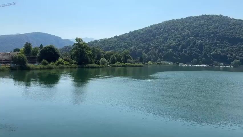 The video shows a wide shot of a calm lake with a lush green forested hill in the background. The sky is clear and blue. On the left side of the lake, there is a shoreline with trees and some buildings visible. On the right side, a portion of a tall evergreen tree is in the foreground. The water is a clear, tranquil turquoise color, reflecting the surrounding greenery and the sky. There are no people visible in the shot, nor any discernable actions or interactions occurring. The overall scene depicts a serene natural landscape on a sunny day.