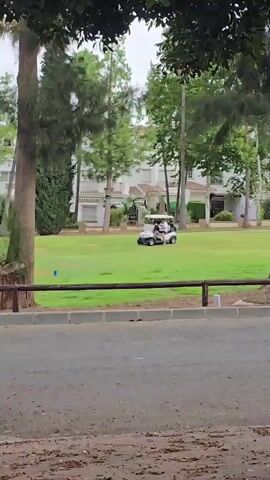 A golf cart with several people in it drives across a grassy area. In the foreground, a road with leaves on it is visible. A wooden fence separates the road from the grassy area. Trees are present throughout the scene, and buildings can be seen in the background.