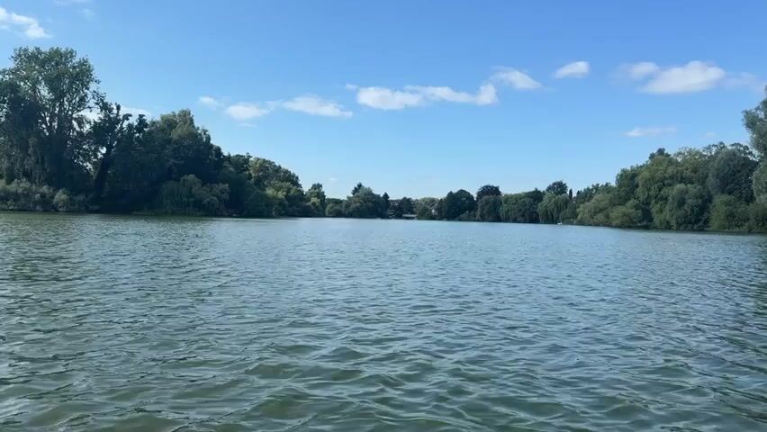 A wide shot shows a serene lake on a clear, sunny day. The water is calm, with gentle ripples. Lush green trees line the far bank, creating a natural border against the bright blue sky dotted with white clouds. In the distance, a few houses are visible nestled among the trees. The overall scene evokes a sense of peace and tranquility.