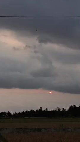 The video shows a sunset over a rural landscape. The sun is low in the sky, partially obscured by dark clouds. A line of trees forms the horizon, with a field in the foreground. There are power lines stretching across the top of the frame, and a few birds are visible in the sky. The overall mood is calm and serene.