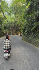 Scooter riders navigate winding roads through Ubud's green landscape