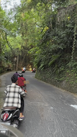Scooter riders navigate winding roads through Ubud's green landscape