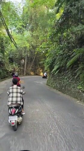 Scooter riders navigate winding roads through Ubud's green landscape