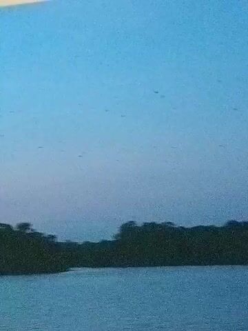 The video shows a body of water in front of a treeline under a blue and light pink sky.  Many small objects are flying in the sky.  A white panel is visible at the top of the frame.