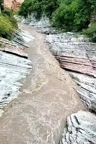 This media file shows a fast-flowing river carving its way through a gorge. The riverbanks are lined with layered rock formations, predominantly white and pinkish-brown, with visible striations. Lush green trees and vegetation grow along the top of the gorge, suggesting a natural, possibly remote, setting. The water itself is a murky brown, indicating it is carrying a significant amount of sediment, which is characteristic of a river experiencing a high flow, possibly due to recent rainfall or snowmelt. The surface of the water is turbulent, with visible ripples and white foam, further emphasizing the speed and force of the current.

The time of day appears to be daytime, as indicated by the natural lighting on the rocks and vegetation. The weather seems overcast or potentially rainy, contributing to the increased river flow and the muddy appearance of the water. There are no people or man-made objects clearly visible in the immediate vicinity of the river, although a hint of a building or structure can be seen in the upper left corner of the frame. The overall impression is one of raw, natural power and the relentless geological force of erosion shaping the landscape. The scene evokes a sense of awe at nature's power and the wild beauty of the gorge. No visible text is present in the media file.