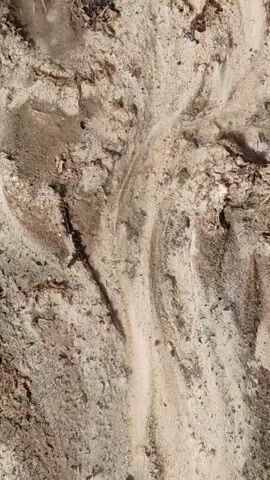 The video shows a close-up, top-down view of sand, possibly wet, mixed with various debris such as twigs, leaves, and small rocks. There are distinct patterns and rivulets in the sand, likely formed by the flow of water. The color of the sand ranges from light beige to darker brown in some areas.