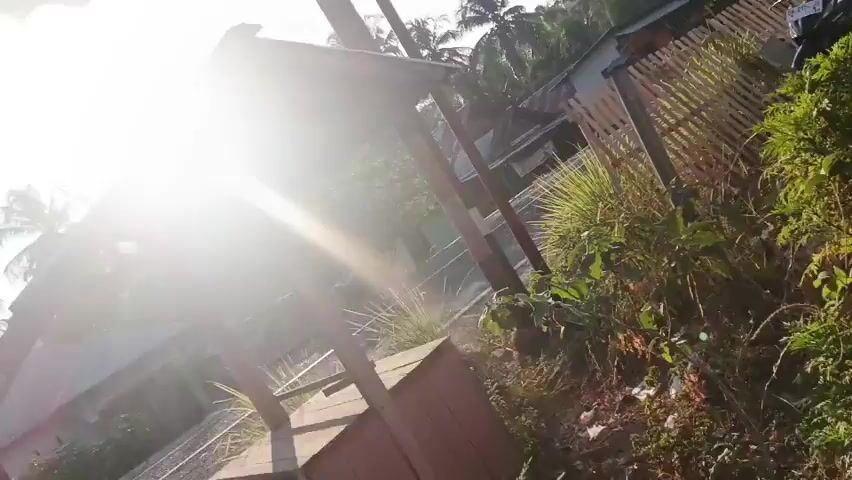 The video shows a view of a rural scene with houses and palm trees. The sun is shining brightly, creating a lens flare that obscures some of the details. In the foreground, there is a wooden structure, possibly a part of a porch or shelter. In the mid-ground, there are several houses with corrugated metal roofs and some with tiled roofs. A road runs in front of the houses, and there are some power lines overhead. In the background, there are lush green trees and hills. The overall impression is of a warm, sunny day in a tropical or subtropical region.