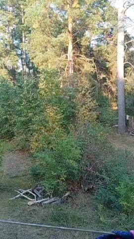 The video shows a wooded area with trees and vegetation. There is a small clearing with a rug hung between two trees. In the distance, there is a larger clearing with a few scattered objects, including what appears to be a clothesline. The sun is shining, suggesting it is daytime.