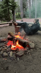 Group camps in Russian forest during evening hours