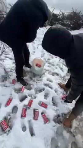 The video shows a group of people in a snowy area. The scene starts with a person in a hooded jacket looking at the camera. The camera pans down to show two people emptying a white plastic bag filled with empty red Coca-Cola cans onto the snow-covered ground. The surrounding environment is a snowy landscape with some vegetation visible on a hillside. A blue car is seen parked on a nearby road. The focus of the video is on the action of scattering the cans in the snow.