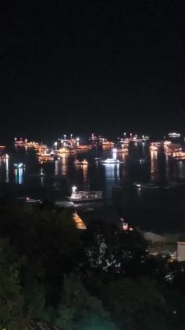 The video shows a nighttime view of a body of water dotted with numerous boats, each illuminated by lights. The lights from the boats create reflections on the dark water, forming a shimmering effect. In the foreground, there is dark foliage, suggesting the vantage point is from a hillside or elevated position overlooking the water. Some structures and lights are also visible on the shore in the distance. The scene is tranquil and visually striking due to the contrast of the bright boat lights against the dark night sky and water.