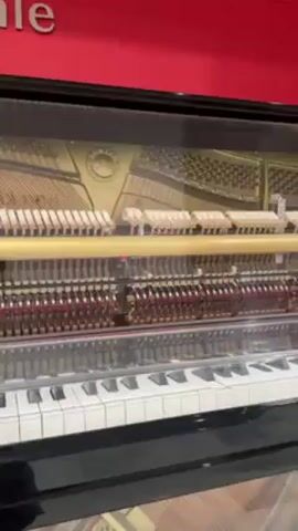 Here's a description of the video:

The video shows the inside workings of a piano, visible through a clear panel above the keyboard. The keys are white and black, and the internal mechanisms of the piano, including hammers and strings, are visible. The camera angle is slightly tilted upwards, capturing the action as keys are pressed. Above the piano, a red sign with the word "Sale" is partially visible. The environment appears to be a retail setting where pianos are sold.