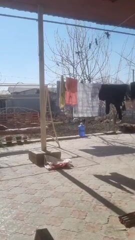 The video shows a scene in what appears to be a backyard or courtyard under a covered area. The ground is paved with patterned tiles. In the background, there are bare trees and a building or fence. To the left, there's a wooden swing. Clothes are hanging on a line to dry. A blue water jug sits on the ground. In the foreground, a set of scales stands against a wall. The video is shot with a panning motion. The lighting is bright.