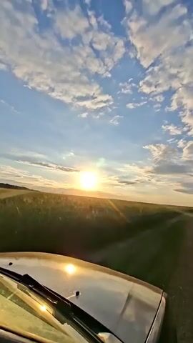 The video is a first-person perspective from inside a vehicle, looking forward and slightly to the right. The view is dominated by a vast, flat landscape under a bright, partly cloudy sky. The sun is setting or rising on the left horizon, casting a warm, golden glow across the scene. The vehicle's hood is visible in the foreground, reflecting the sunlight. A dirt road stretches into the distance, flanked on both sides by tall, golden grass or crops. The overall impression is one of a scenic drive through a rural or natural environment during golden hour.