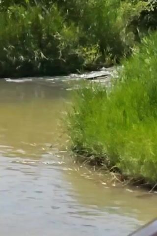 The video shows a small, murky stream or river flowing between a grassy bank on the right and another vegetated area on the left. The water appears to be light brown or tan, possibly due to sediment. The vegetation consists of tall, green grass and other plants. The camera appears to be stationary, providing a static view of the scene.