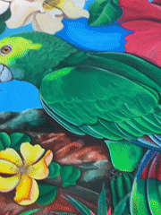 Evening documentation of art and streets in Pampatar, Venezuela
