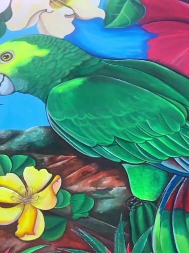 Evening documentation of art and streets in Pampatar, Venezuela