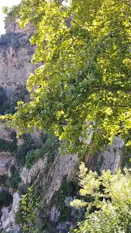 A video pans across a scenic natural landscape. The first frame shows a sheer cliff face covered in vegetation, with a tree in the foreground. The camera then moves to reveal a vast valley with rolling, tree-covered hills and mountains in the distance. The sky is clear and blue. There are no people or man-made objects visible apart from a dark railing in the bottom part of the frame in the later shots.