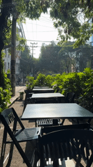 Outdoor dining setup documented on Mexico City sidewalk