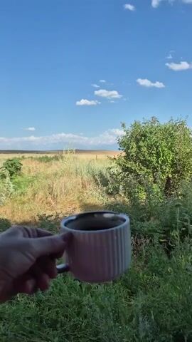 A hand holds a white mug filled with dark liquid, possibly coffee, in the foreground. The mug is positioned to the left of the frame. Behind the mug, a lush green landscape unfolds under a clear blue sky dotted with white clouds. A medium-sized green tree stands prominently in the middle ground, to the right of the mug. Beyond the tree, a vast field of dry, golden grass stretches towards a distant horizon. In the far distance, faint outlines of mountains are visible under the expansive sky. The scene appears to be an outdoor setting, likely a natural landscape, with good natural lighting suggesting it is daytime.