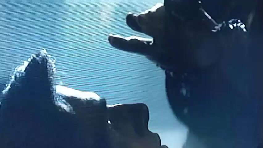 The video displays a close-up of a person's hand, appearing to be reaching out towards something just out of frame. The lighting is dim, with a blue-ish hue, and the background is indistinct. The camera then pans to reveal a bald individual holding a torch with a flame. The person is partially obscured by shadows, but their torso and one arm are visible. They appear to be standing in a dimly lit environment with some patterned structures in the background, possibly windows or architectural elements. The overall atmosphere is dark and somewhat mysterious.