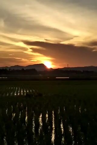 The video shows a sunset over a field of rice paddies. The sun is setting behind a mountain range in the distance. The sky is filled with clouds, and the sun's rays are shining through them, creating a golden light. The rice paddies are flooded with water, and the reflection of the sky can be seen in the water. There is a tall tower structure visible in the distance as well.