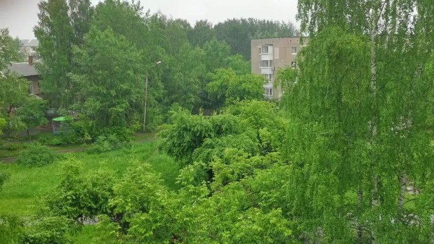 This is a slightly blurry, medium-angle shot of a dense, green forest area. In the foreground, there are many lush trees and bushes, with the one on the right showing a drooping style with thin, green leaves. In the background, there is a tall, gray, and beige apartment building. To the left of the apartment building, there are some other houses and trees, and a light pole is visible. The ground in front of the trees is covered with green grass. The sky is overcast and gray, suggesting it might be raining or about to rain. There are no people or animals visible in the video.