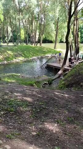 The video shows a natural swimming area with a wooden platform. Several people are on and around the platform, and some are in the water. The area is surrounded by trees and grass. The water appears calm and clear. One person is seen jumping off the platform into the water. The scene is bright and appears to be daytime.