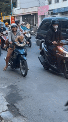 Daily life captured: scooter ride with dogs, pineapple vendor